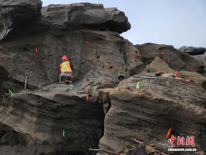 远古松鼠粪化石发现70万年前古DNA 研究揭示史前生态系统 远古松鼠粪化石发现70万年前古DNA 研究揭示史前生态系统