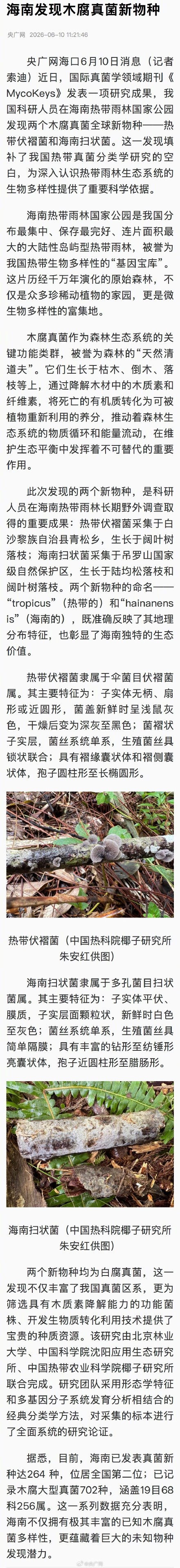 海南发现木腐真菌新物种 海南发现木腐真菌新物种