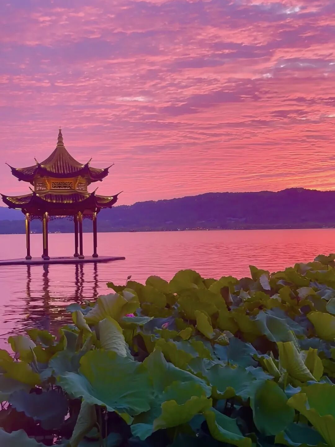 “来不及了!”西湖上空突现震撼一幕,大批杭州人晒出照片:真的绝了! “来不及了!”西湖上空突现震撼一幕,大批杭州人晒出照片:真的绝了!