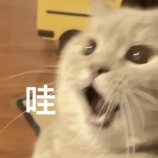 大学四年,我还要感谢小炒黄牛肉、干锅花菜、金钱蛋……网友:“答辩给导师看入迷了” 大学四年,我还要感谢小炒黄牛肉、干锅花菜、金钱蛋……网友:“答辩给导师看入迷了”