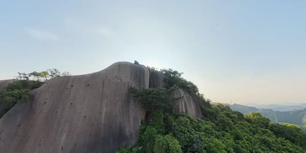游客在山崖下捡到手机,抬头一看:失主正挂在半山腰的树上...... 游客在山崖下捡到手机,抬头一看:失主正挂在半山腰的树上......