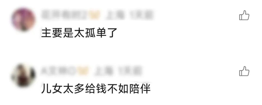 上海一86岁老人每天凌晨又敲又喊,邻居快被“逼疯”!4个子女仅看监控“云尽孝” 上海一86岁老人每天凌晨又敲又喊,邻居快被“逼疯”!4个子女仅看监控“云尽孝”