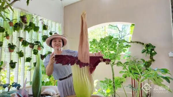 限时营业!云南这些“神奇宝贝”你见过几个? 限时营业!云南这些“神奇宝贝”你见过几个?