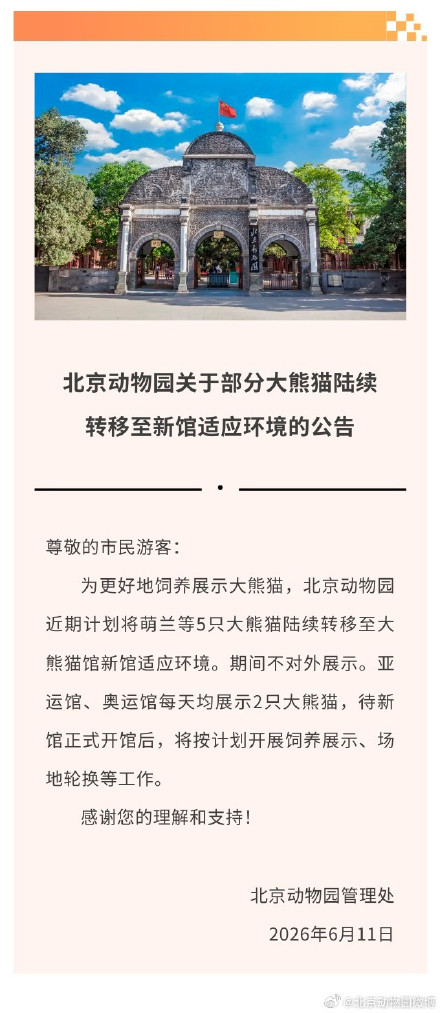 萌兰等5只大熊猫将搬新家