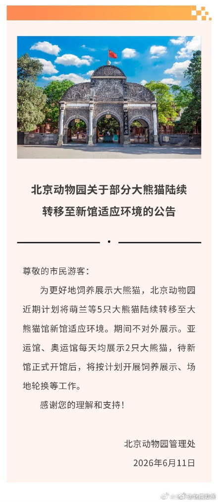 萌兰等5只大熊猫将搬新家适应新环境期间不对外展示 萌兰等5只大熊猫将搬新家适应新环境期间不对外展示
