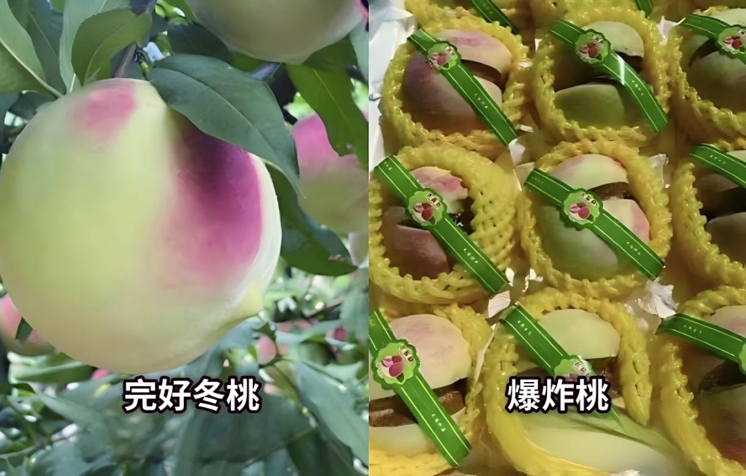 别再交智商税了！“水果骗局”被揭穿，这份避坑清单请收好→