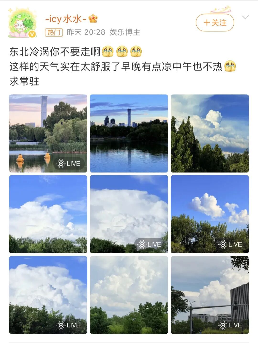 “东北冷涡”冲上热搜！北京网友：别走，算我求你