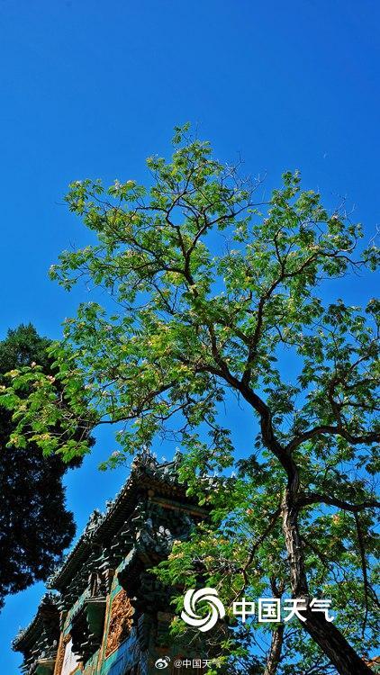 北京蓝天美照上新啦 张张皆是清爽蓝