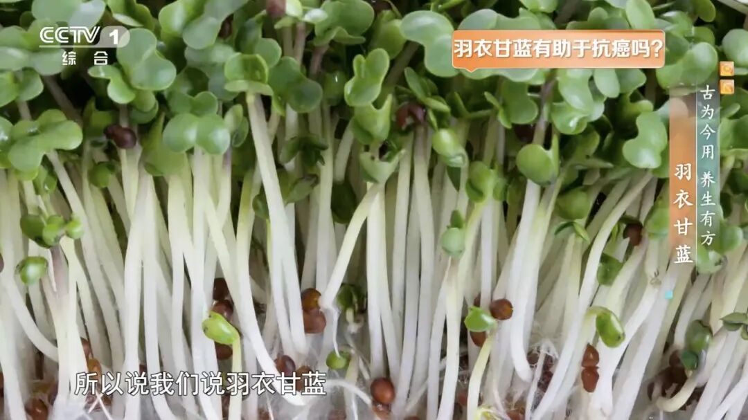 它是你家餐桌上的“超级食物”,但吃不对反伤身 它是你家餐桌上的“超级食物”,但吃不对反伤身