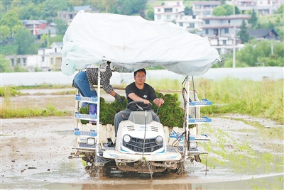 “读书见世面,就是为了更好建设家乡” “读书见世面,就是为了更好建设家乡”