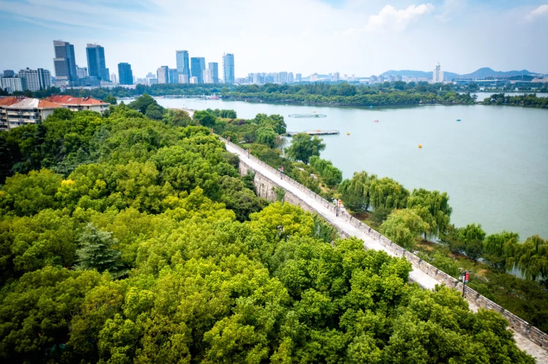 南京多景区官宣:免费开放! 南京多景区官宣:免费开放!