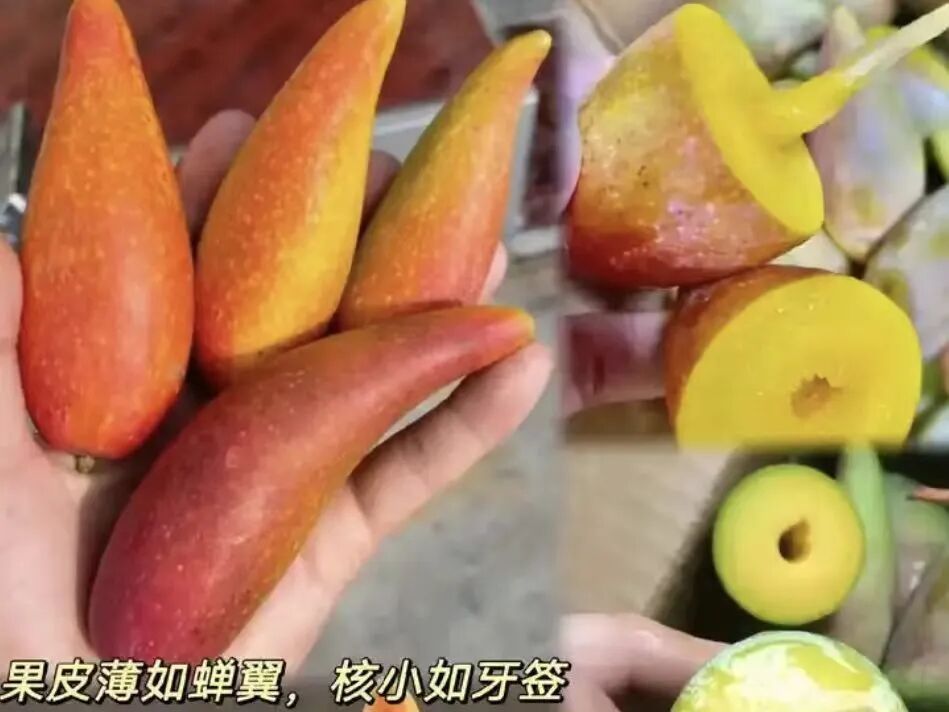 别再交智商税了！“水果骗局”被揭穿，这份避坑清单请收好→