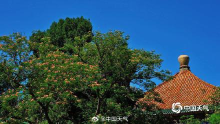 北京蓝天美照上新啦 张张皆是清爽蓝