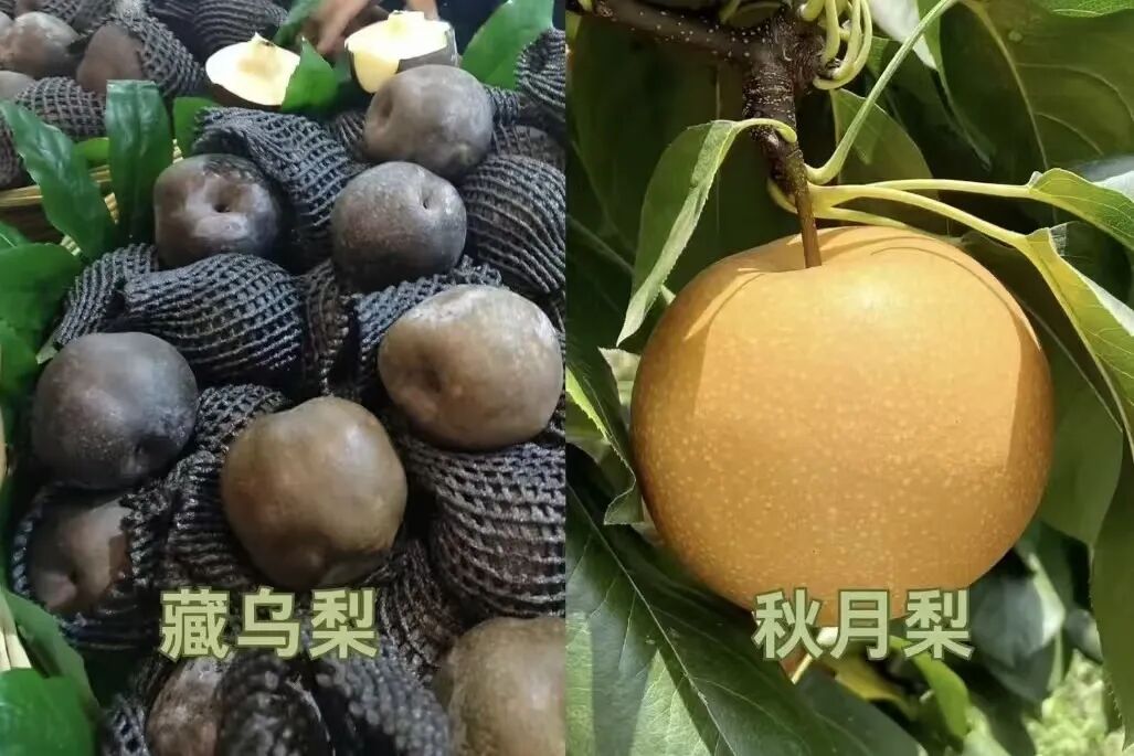 别再交智商税了！“水果骗局”被揭穿，这份避坑清单请收好→