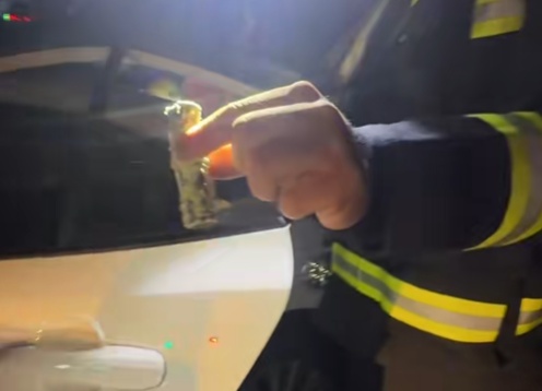 女子租车自驾时座椅下方突然着火,消防员检查时发现了它! 女子租车自驾时座椅下方突然着火,消防员检查时发现了它!