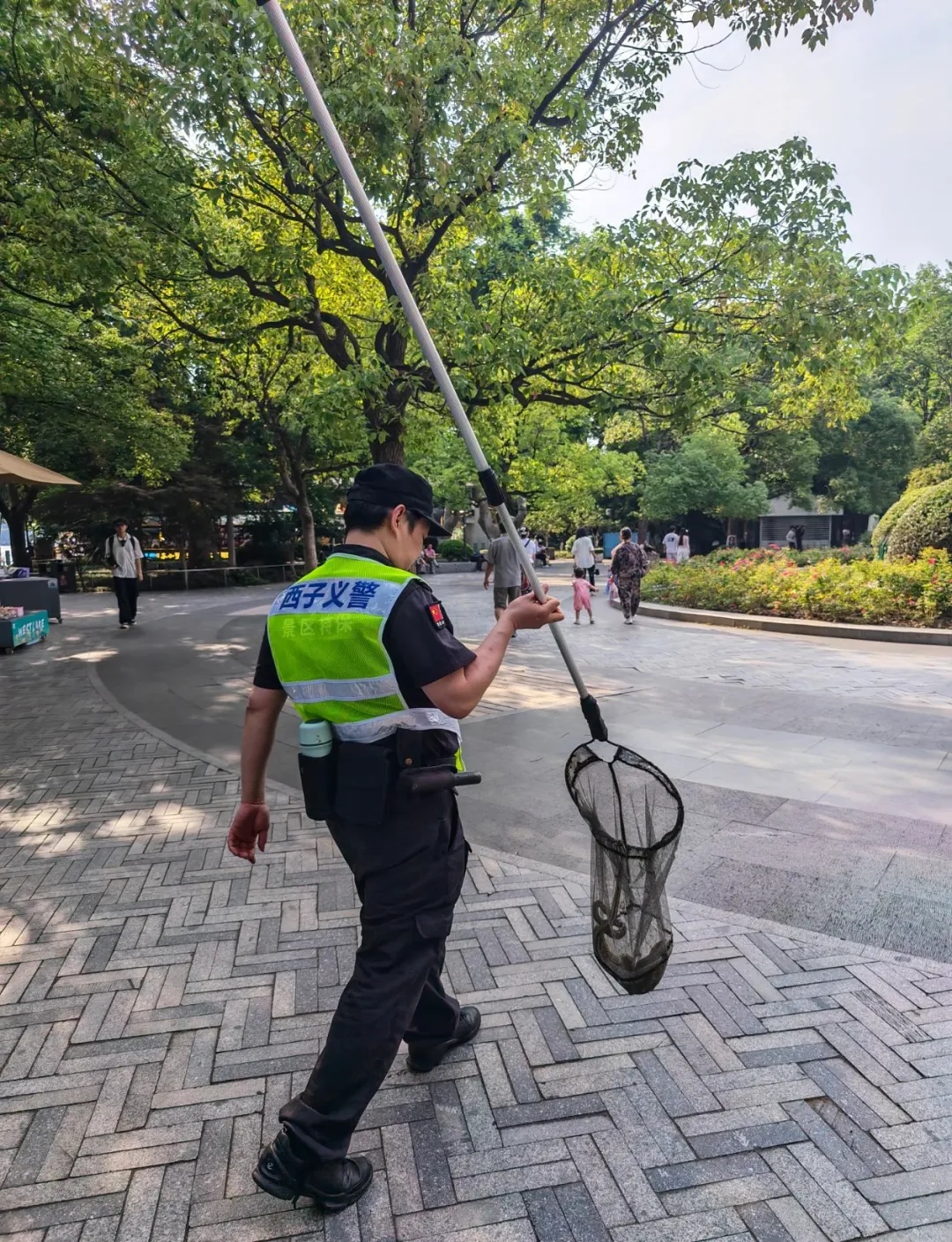 浙江杭州西湖边一条“青蛇”被围观,被抓后在野外放生,巧的是上周“白娘子”才被发现 浙江杭州西湖边一条“青蛇”被围观,被抓后在野外放生,巧的是上周“白娘子”才被发现