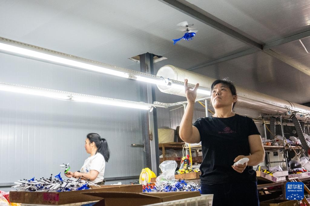 湖南汉寿：灵活用工巧解民生题