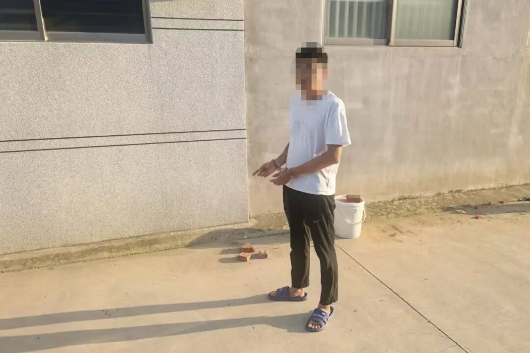 王某民、王某、杨某春3名“盗花贼”落网 王某民、王某、杨某春3名“盗花贼”落网