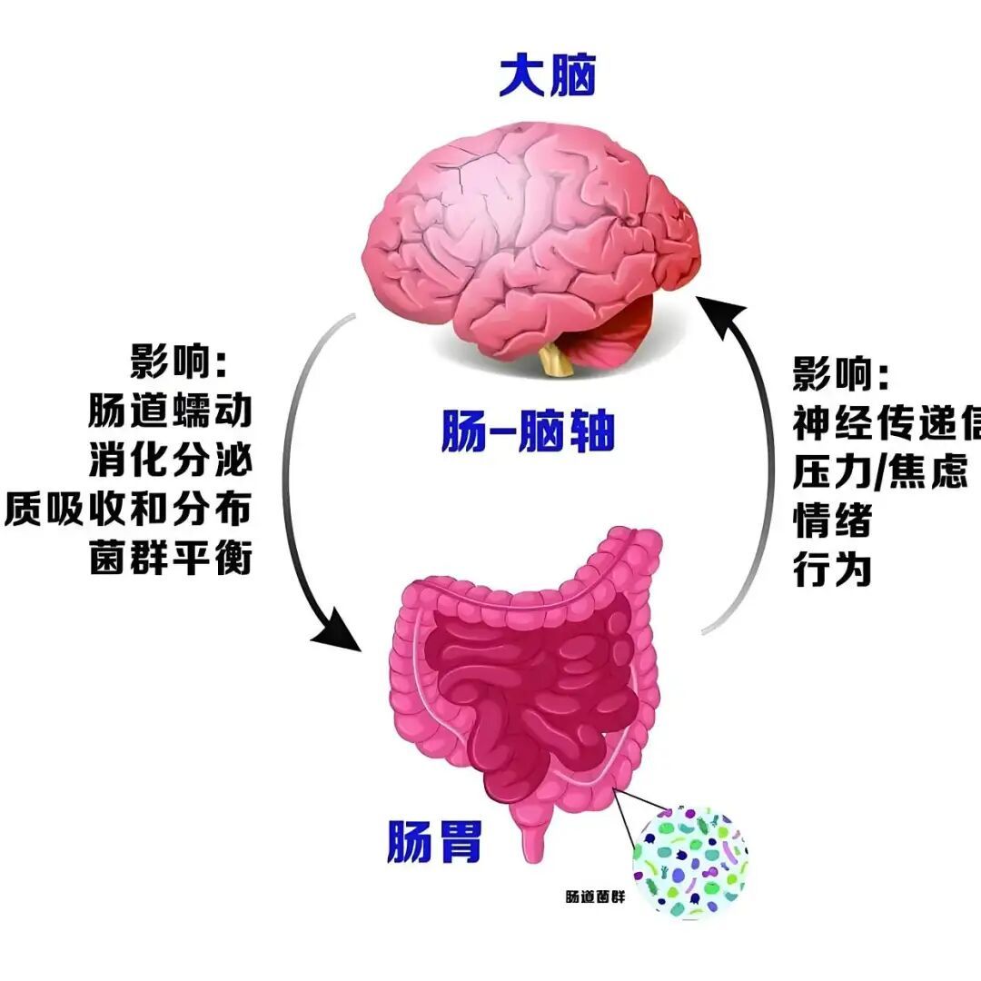 考完别 “放纵”!杭州考生扎堆前往医院,这种病要当心! 考完别 “放纵”!杭州考生扎堆前往医院,这种病要当心!