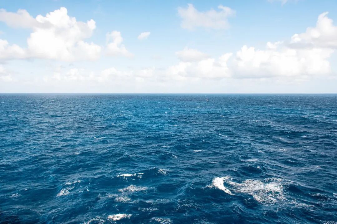 国安部披露：有活体海洋动物被挂上传感器，窃取海洋敏感数据
