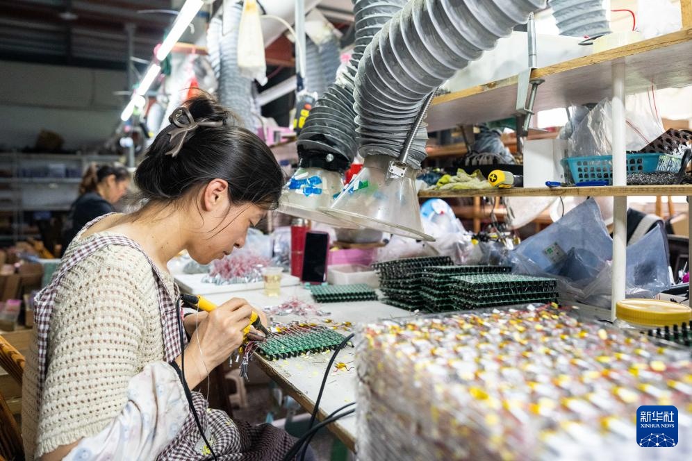 湖南汉寿：灵活用工巧解民生题