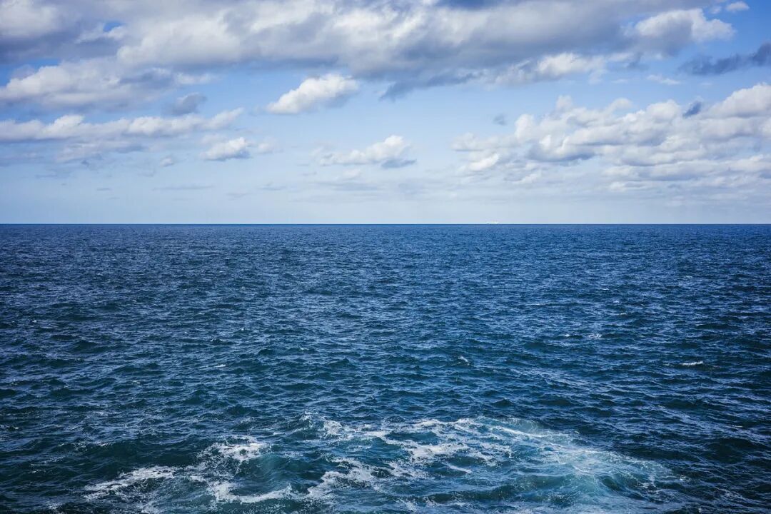 海鱼海龟，竟是“间谍”！国安部披露→
