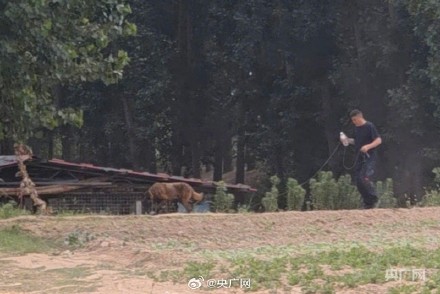 开封3岁男童家门口走失已超40小时