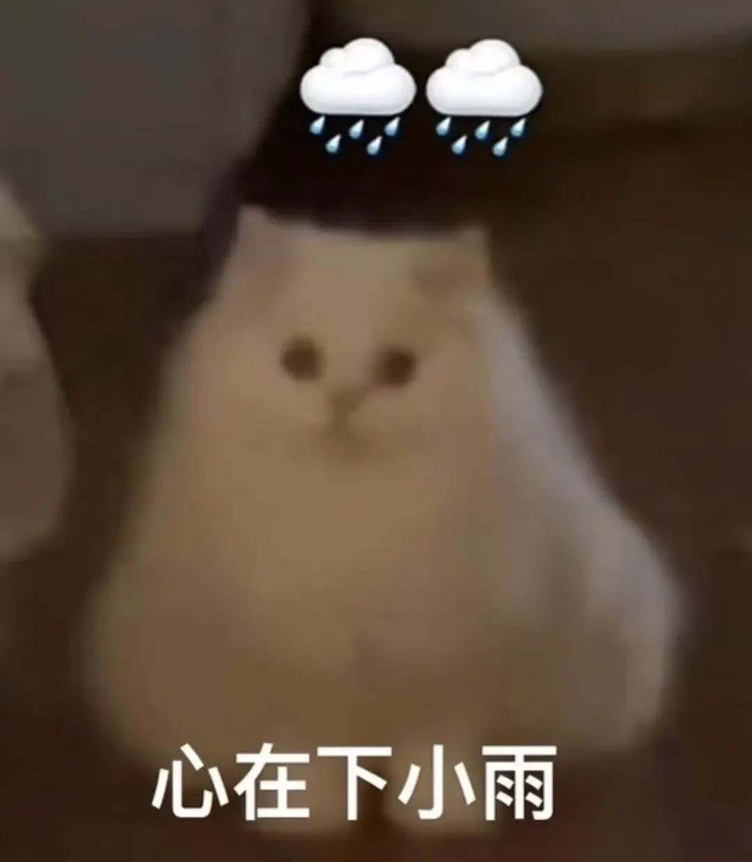 “建议爬山不要买白色雨衣”热搜第一！网友：还好，我甚至都不爬山……