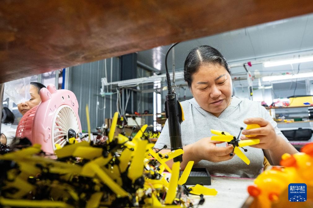 湖南汉寿：灵活用工巧解民生题