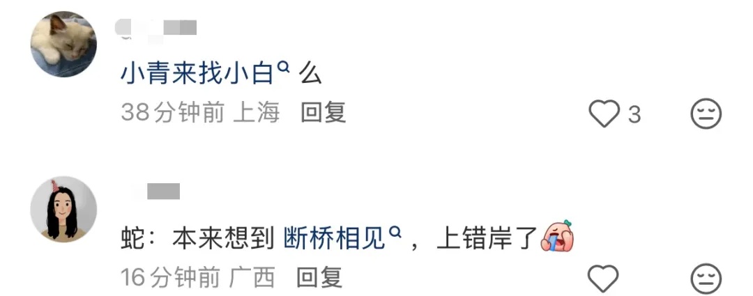 浙江杭州西湖边一条“青蛇”被围观,被抓后在野外放生,巧的是上周“白娘子”才被发现 浙江杭州西湖边一条“青蛇”被围观,被抓后在野外放生,巧的是上周“白娘子”才被发现
