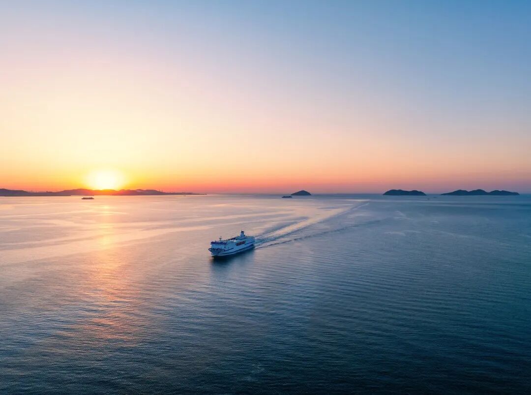 海鱼海龟，竟是“间谍”！国安部披露→