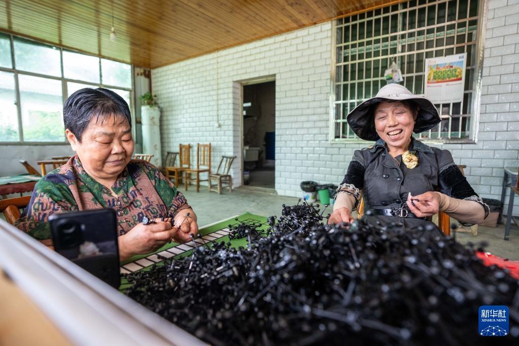 湖南汉寿：灵活用工巧解民生题