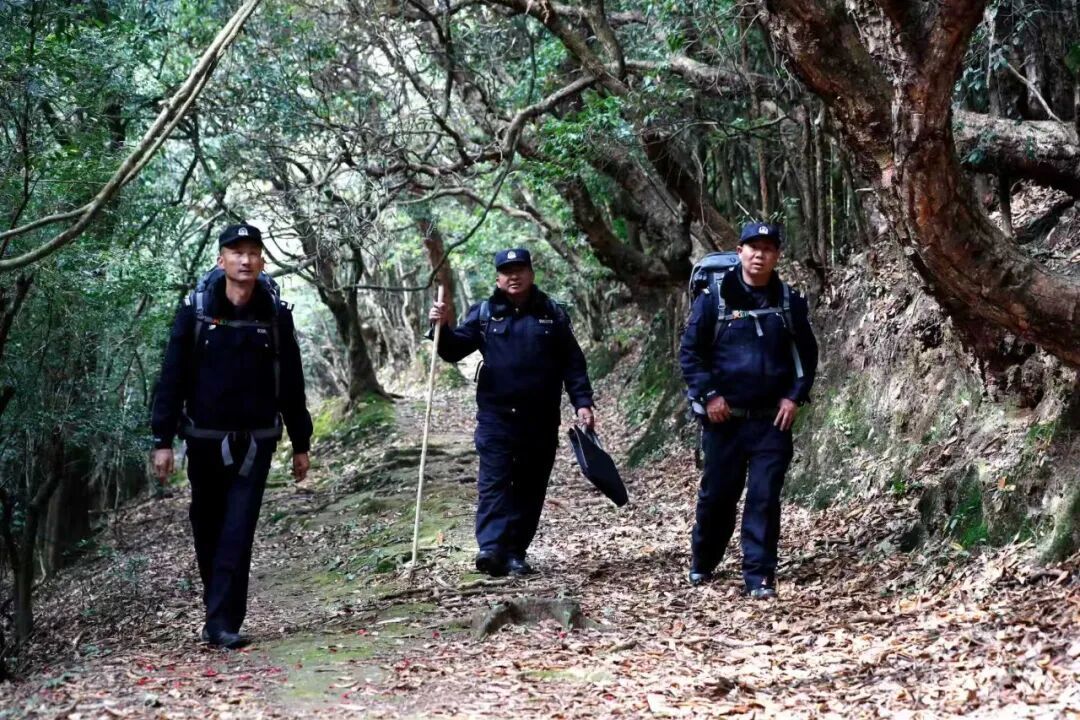 “树警察”：巡山取“经”27年