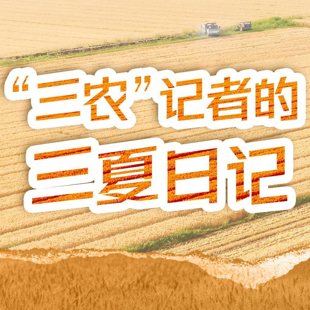 无人收割机上感受智慧农业的脉动 无人收割机上感受智慧农业的脉动