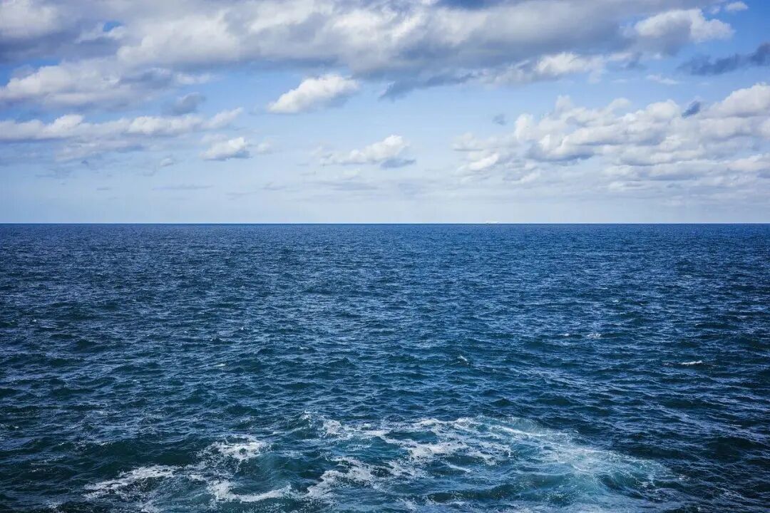 海里的鱼和龟也能当间谍?揭秘境外新型海洋窃密套路 海里的鱼和龟也能当间谍?揭秘境外新型海洋窃密套路