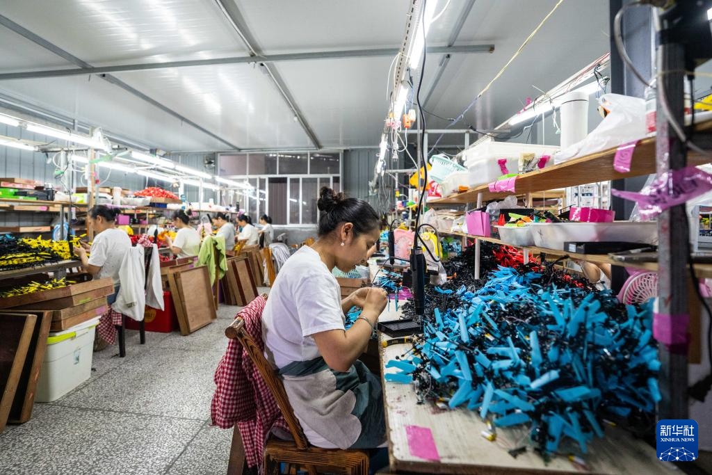 湖南汉寿：灵活用工巧解民生题