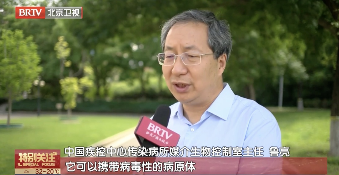 小心！北京多人被叮咬，已有死亡病例！专家紧急提醒——