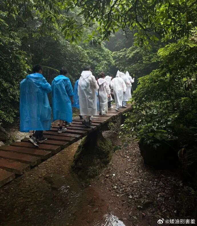 "建议爬山不要买白色雨衣"，热搜第一！网友：远看人影飘飘忽忽…