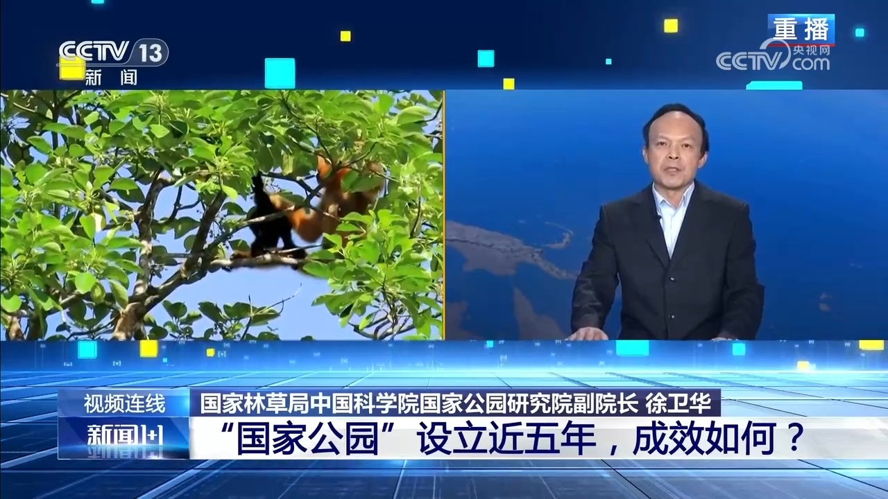 新闻1+1｜“国家公园”设立近五年 成效如何？