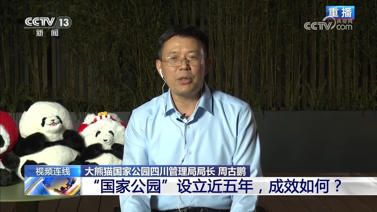 新闻1+1｜“国家公园”设立近五年 成效如何？