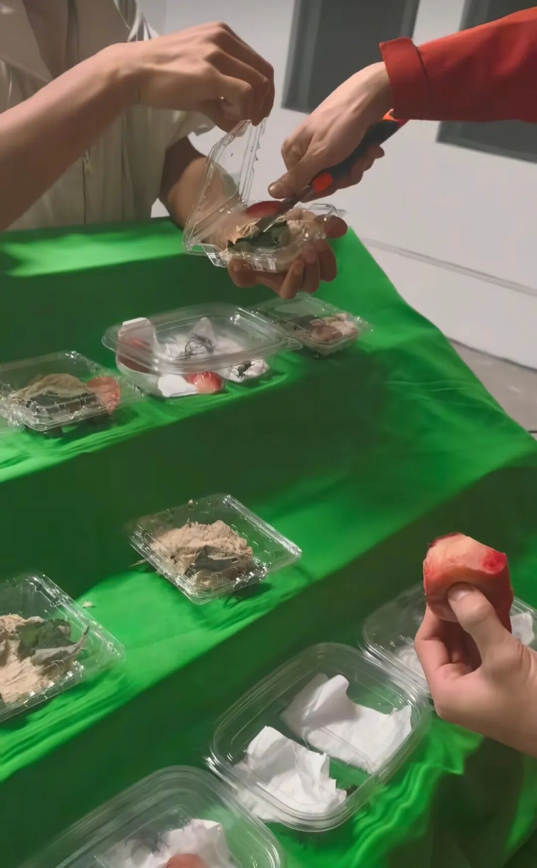 桃园遇虫灾老板网上求助 网友支招:不杀虫,卖虫!结果意外闯出昆虫经济新赛道 桃园遇虫灾老板网上求助 网友支招:不杀虫,卖虫!结果意外闯出昆虫经济新赛道