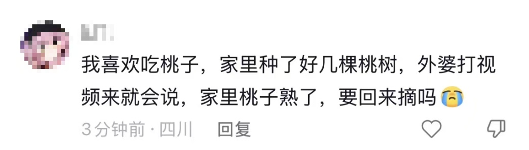 “我对我爸说杏熟了我就回去吃杏，然后我爸天天去看杏熟了没”