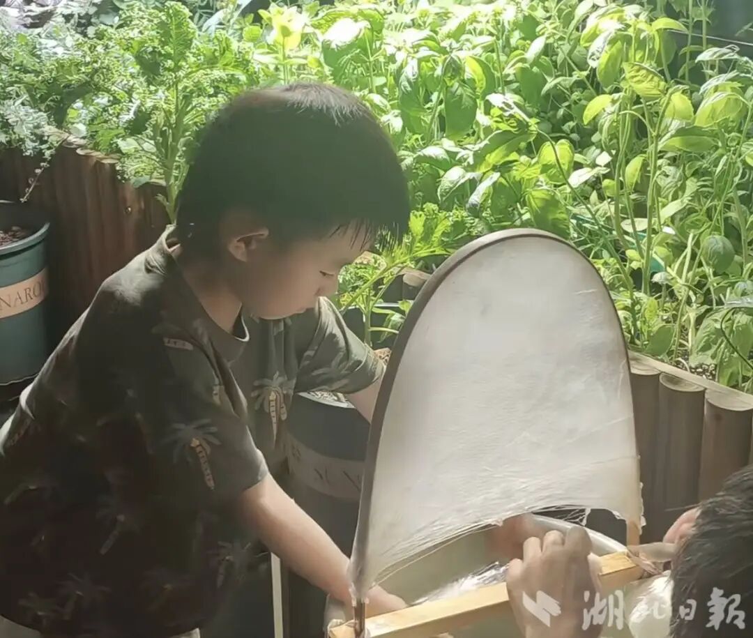 儿子想做蚕丝被,妈妈网购1万粒蚕卵,全家耗时六十多天,手搓两床被子 儿子想做蚕丝被,妈妈网购1万粒蚕卵,全家耗时六十多天,手搓两床被子
