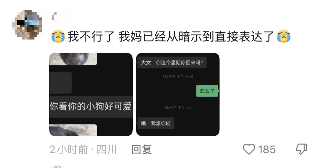 “我对我爸说杏熟了我就回去吃杏，然后我爸天天去看杏熟了没”