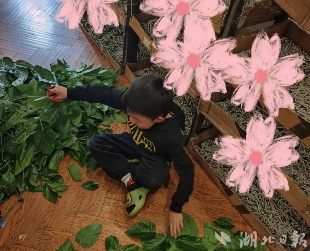 儿子想做蚕丝被,妈妈网购1万粒蚕卵,全家耗时六十多天,手搓两床被子 儿子想做蚕丝被,妈妈网购1万粒蚕卵,全家耗时六十多天,手搓两床被子