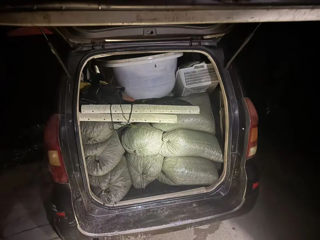 浙江2名男子深夜偷偷下水,一晚上摸了1000多公斤螺蛳,警方:邱某、张某被刑拘 浙江2名男子深夜偷偷下水,一晚上摸了1000多公斤螺蛳,警方:邱某、张某被刑拘