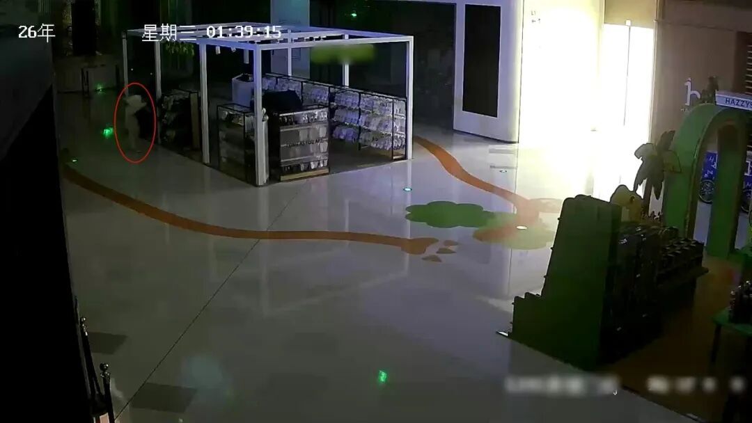凌晨1点40分,杭州某商场鞋店里多了一个黑影…第二天,他在火锅店被“请”走了 凌晨1点40分,杭州某商场鞋店里多了一个黑影…第二天,他在火锅店被“请”走了