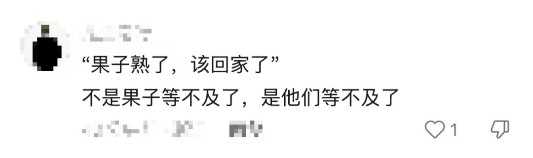“我对我爸说杏熟了我就回去吃杏，然后我爸天天去看杏熟了没”