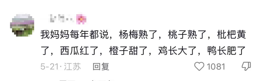 “我对我爸说杏熟了我就回去吃杏，然后我爸天天去看杏熟了没”