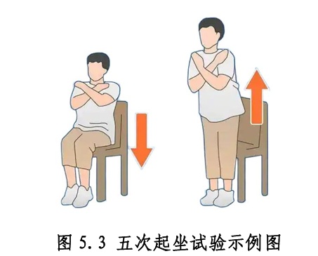 国家不让你胖,也没让你瘦啊!国家喊你“存肌减脂”,很多人搞错重点 国家不让你胖,也没让你瘦啊!国家喊你“存肌减脂”,很多人搞错重点